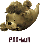 プーブル - poo-bull